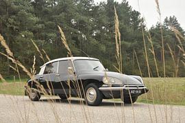 Zwarte Citroën DS 1970 von Theo Joosten