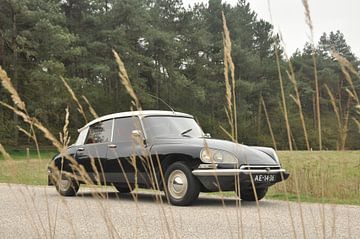 Zwarte Citroën DS 1970 van Theo Joosten