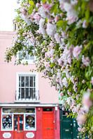 Roze rozen en kleurrijke huizen in Notting Hill Londen
