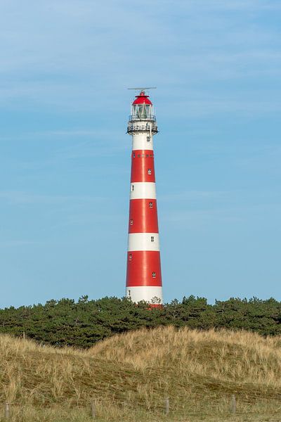 Der rot-weiß gestreifte Leuchtturm der Watteninsel Ameland im Norden der Niederlande von Tonko Oosterink