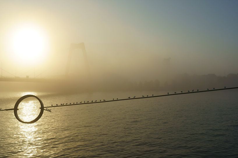 Willemsbrug Rotterdam in de mist van Michel van Kooten