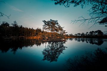 lac avec arbre dans l'eau sur Björn van den Berg