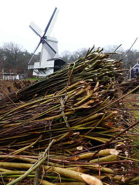 Wilgentakken en een witte molen by Petra Dielman