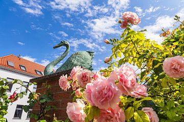 Rozen en beeld van een zwaan in de stad Schwaan van Rico Ködder