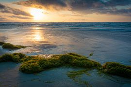 Oostzeestrand in Warnemünde van Martin Wasilewski