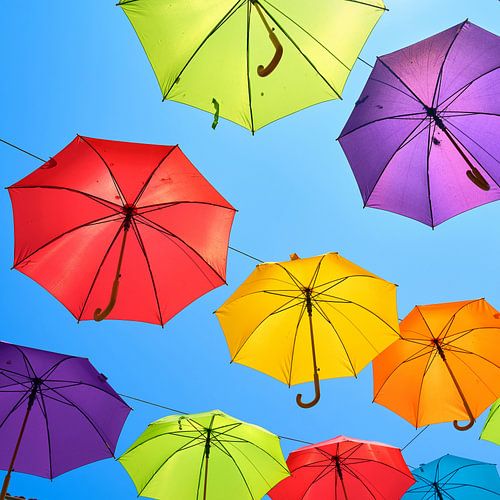 Kleurrijke paraplu's in Novigrad