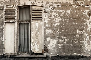 Windows in decay by Ellen Driesse