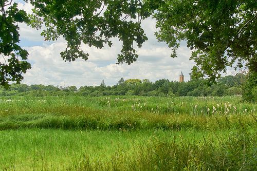 Amerongs landschap vanaf de Bovenpolder