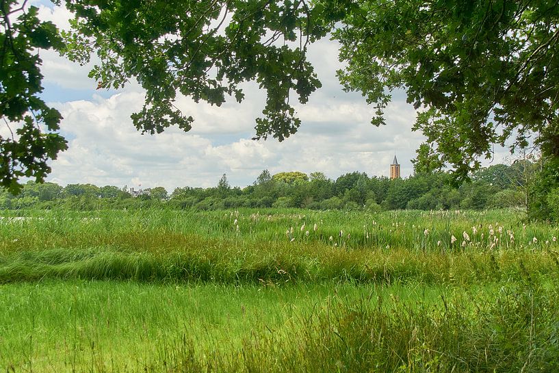 Amerong's landscape from the Bovenpolder by Ad Jekel