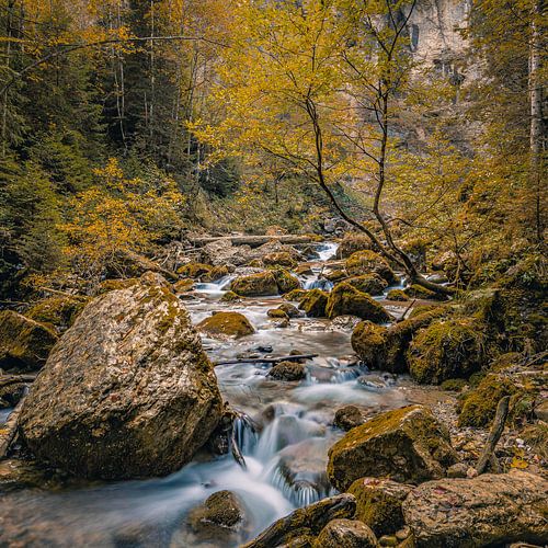 Autumn in the Appenzellerland, warm colours along a mountain stream by Henk Meijer Photography