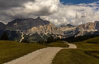 Route vers les montagnes par Nico Olsthoorn Aperçu