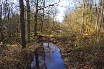 Over de Roggelse beek.