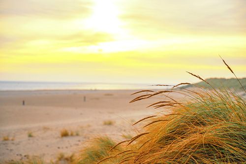 Zonsopgang in de duinen bij het eiland Texel in de Waddenzee