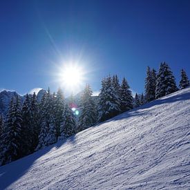 Besneeuwde bomen en een stralende zon achter de skipiste in Axamer Lizum (Tirol, Oostenrijk) van Kelly Alblas