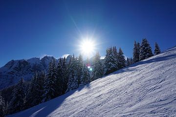 Besneeuwde bomen en een stralende zon achter de skipiste in Axamer Lizum (Tirol, Oostenrijk) van Kelly Alblas