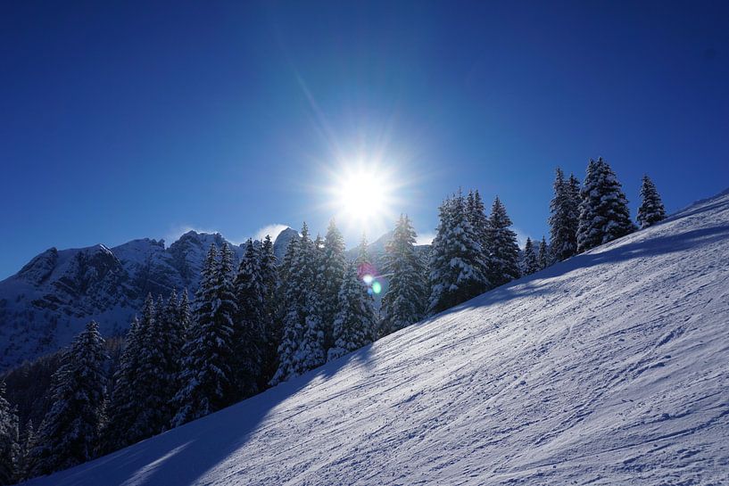Verschneite Bäume und eine strahlende Sonne hinter der Skipiste in Axamer Lizum (Tirol, Österreich) von Kelly Alblas