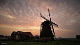 Molen