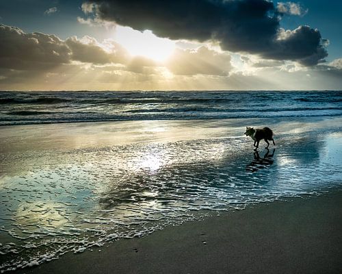 Sunset Beach Schoorl by Peter van Nugteren