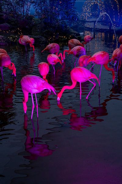 Popart Flamingo's. by Alie Ekkelenkamp