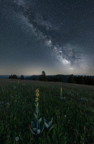 Milky Way over the Feldberg by Anselm Ziegler Photography