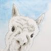 Das neugierige Alpaka (süße Aquarellmalerei Holzkohle Tiere Lama Kinderzimmer Streichelzoo von Natalie Bruns