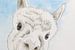 De nieuwsgierige alpaca (lief aquarel schilderij houtskool dieren lama kinderkamer kinderboerderij van Natalie Bruns