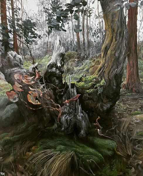 Australische Landschaft 0012 von KB Prints