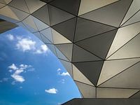 Musee des Confluences Lyon (museum)