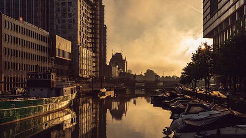 Sunrise around the White House in Rotterdam