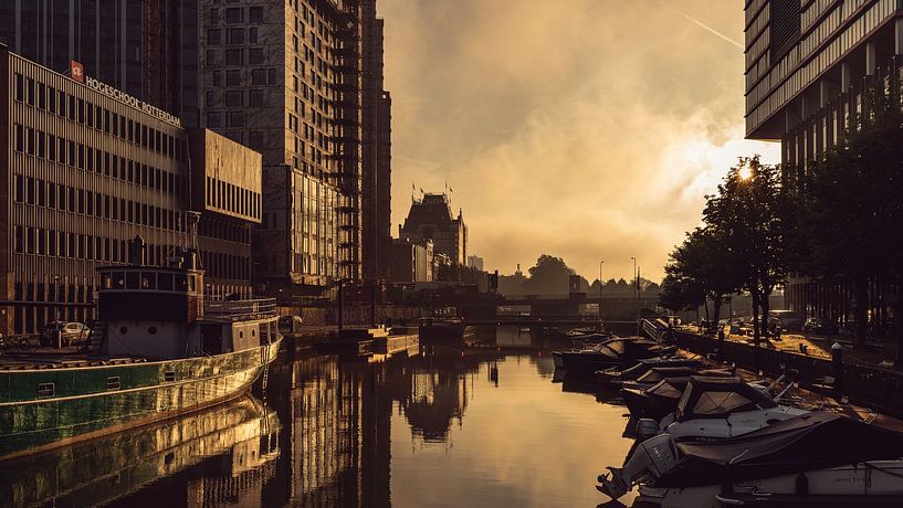 Zonsopkomst rond het Witte Huis in Rotterdam van Jelte Lagendijk