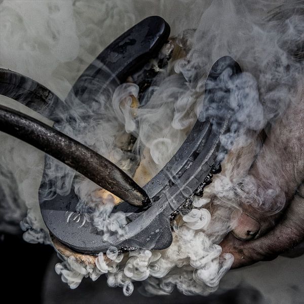 Steam by Job Kok