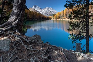 Bergmeer in de Alpen van Fred Bisschop