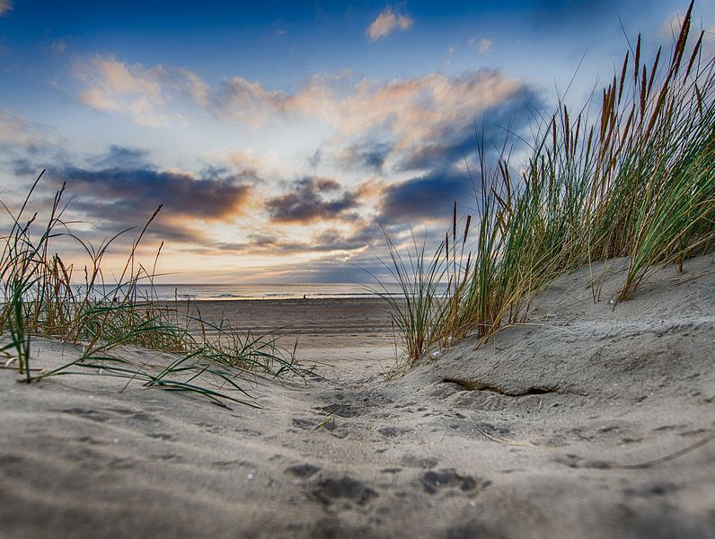 Nazomers Duingezicht tijdens zonsondergang deel4 van Alex Hiemstra