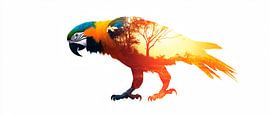 Perroquet au soleil sur Poster Art Shop