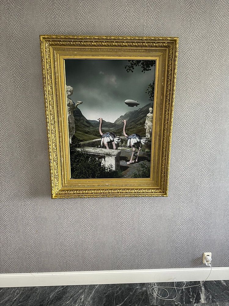 ostriches with zeppelin  by peter 