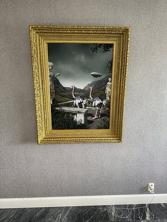 autruches avec zeppelin