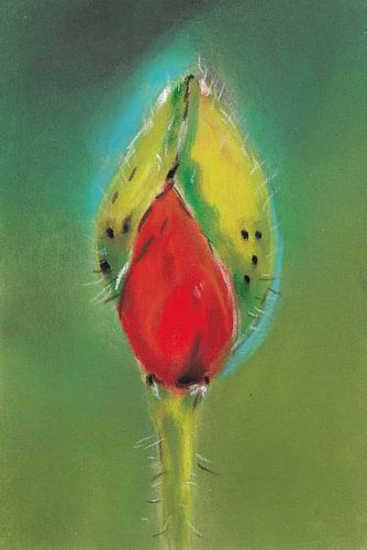Poppy bud by Jolanda Janzen-Dekker