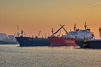 Rotterdam Lever de soleil