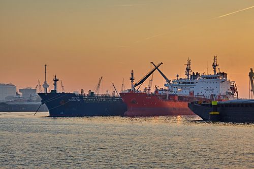 Rotterdam Lever de soleil