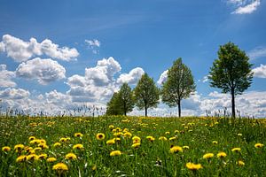 Bergischer Panoramasteig, Bergisches Land, Deutschland