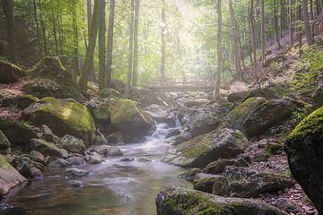 Le soleil d'Ilse Falls sur Tim Lee Williams