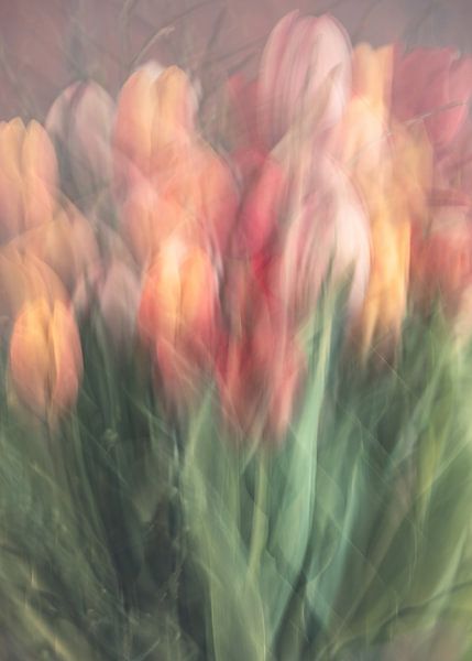 bloemen part 437 van Tania Perneel