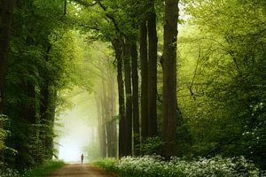 Running towards the light