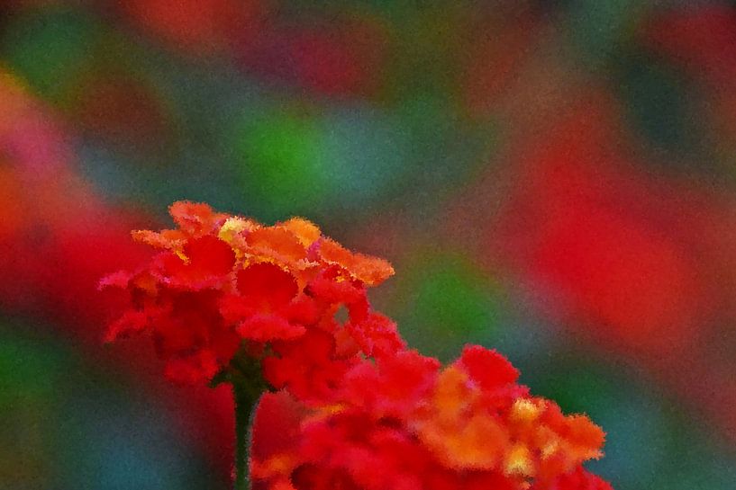 rot und orange Blumen mixed media von Werner Lehmann