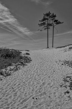 Steps in the sand van Foto Amsterdam/ Peter Bartelings