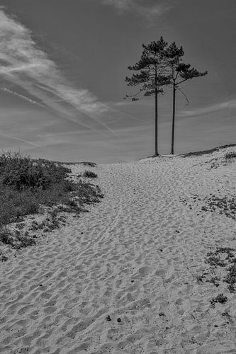 Steps in the sand
