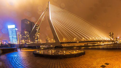 Erasmusbrug Rotterdam