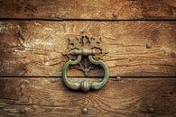 Knock, knock... by Halma Fotografie thumbnail