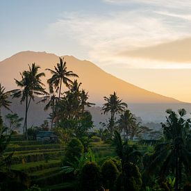 Gunung Agung vanuit Sidemen - zonsopkomst van Ellis Peeters