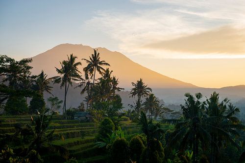 Gunung Agung vanuit Sidemen - zonsopkomst van Ellis Peeters